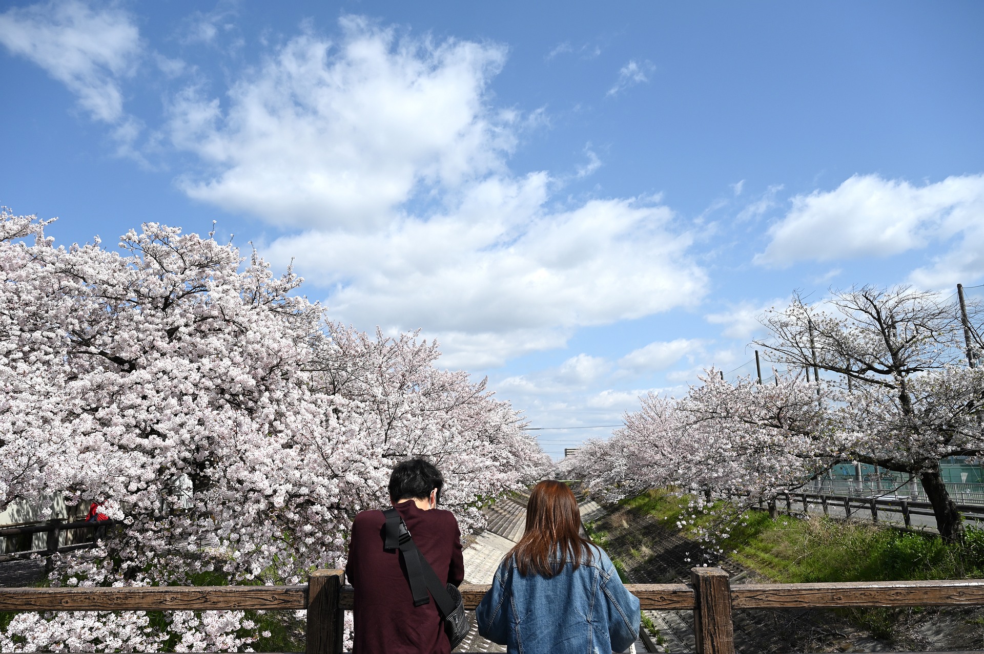 情人节 Valentine's Day