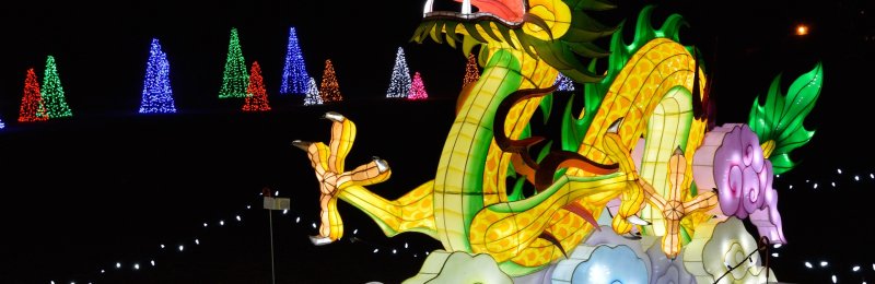 端午节 Dragon Boat Festival