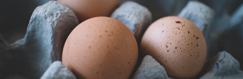 Eggs