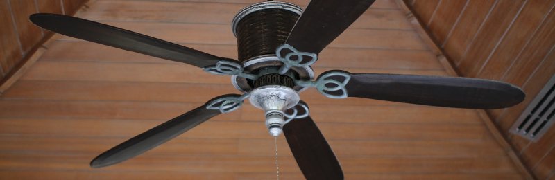 风扇 fan