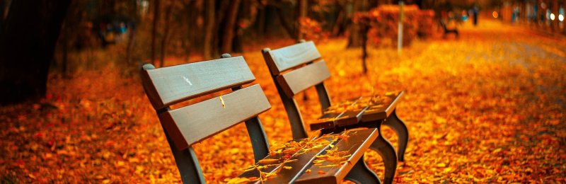 立秋 Beginning of Autumn