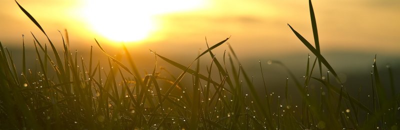 立春 Beginning of Spring
