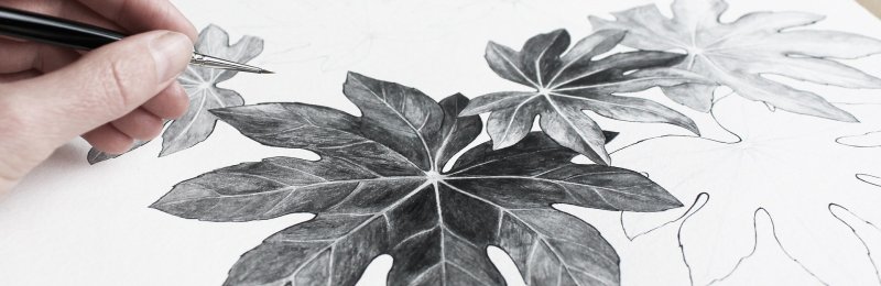 黑白装饰画 Black and white paintings