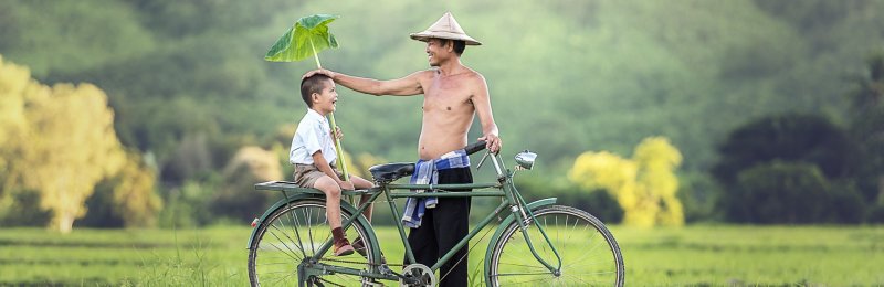 父亲节 Father