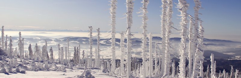 小雪节气 Light snow season
