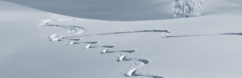 大雪节气 Major Snow