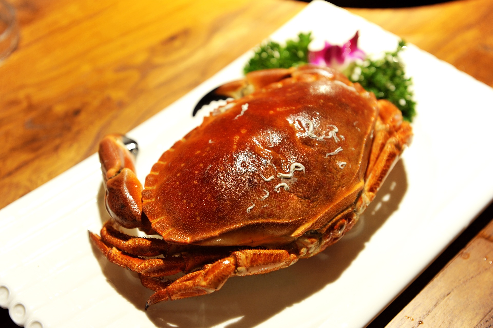 中秋吃螃蟹 Mid Autumn Crab