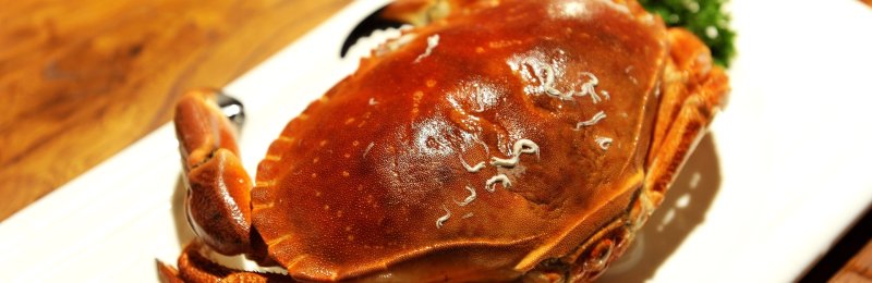 中秋吃螃蟹 Mid Autumn Crab