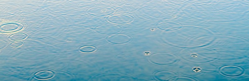 雨水节气 Rain Water