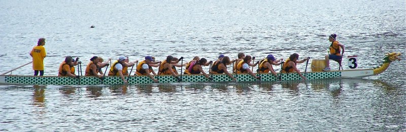 划龙舟 Rowing a dragon boat