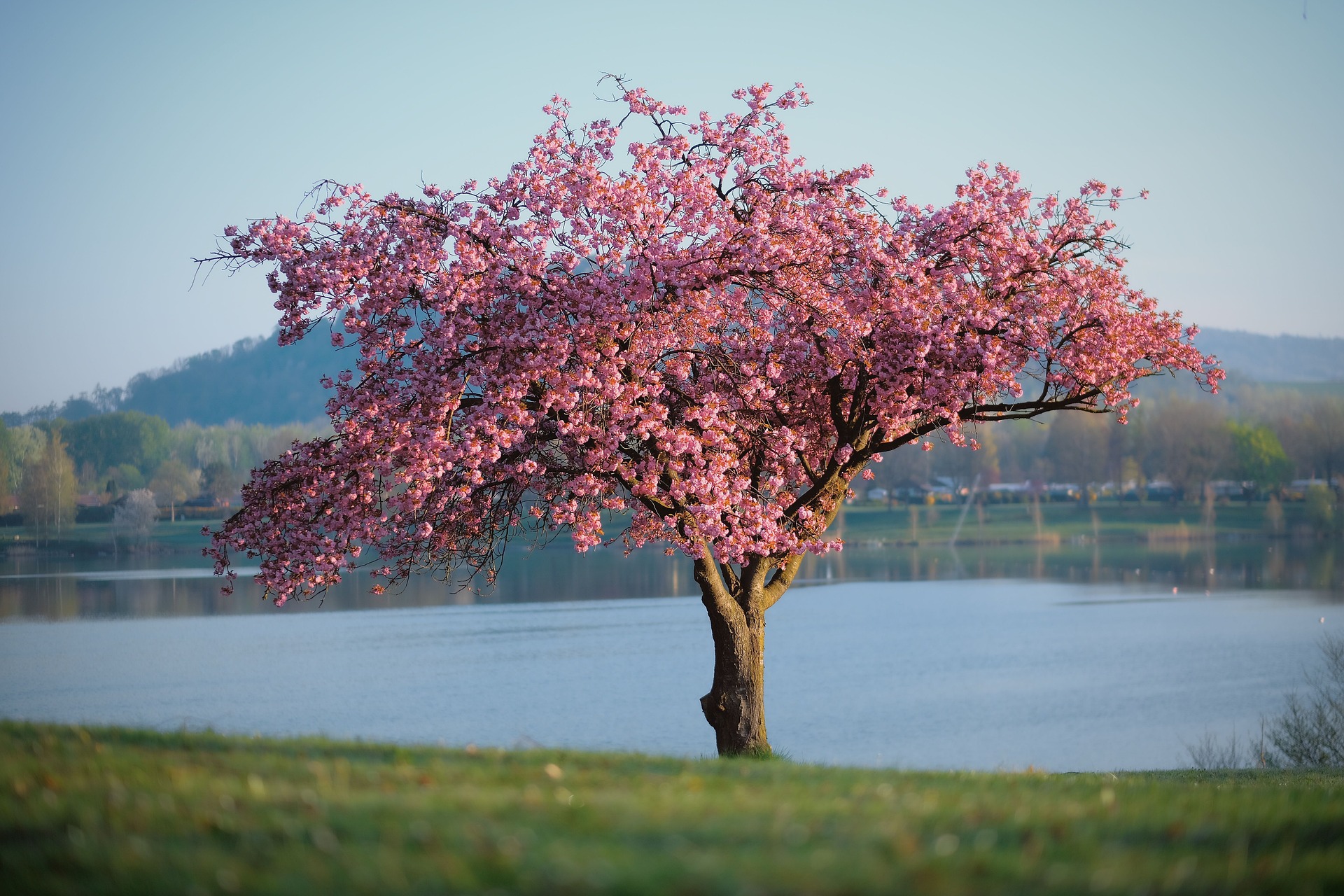 春分节气 Spring Equinox solar term