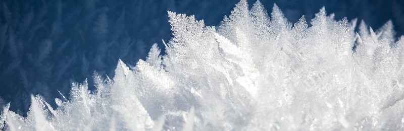 立冬节气 The Beginning of Winter solar term