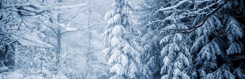 立冬节气 The Beginning of Winter solar term