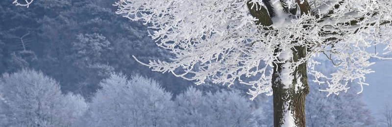 立冬节气 The Beginning of Winter solar term