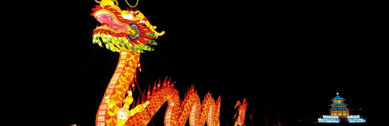 端午节 dragon boat festival