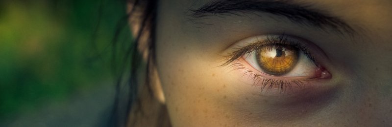 注意力 focus