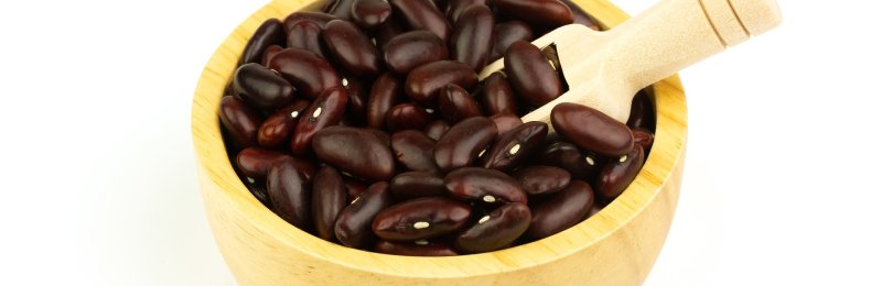 补肾 kidney