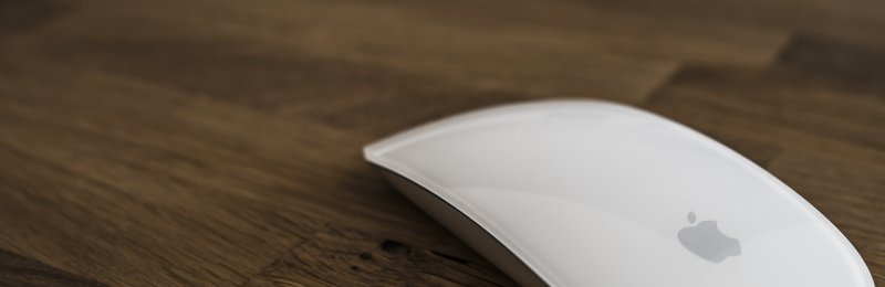 鼠标 mouse