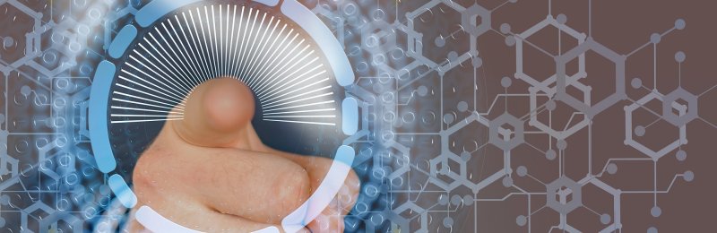 网络暴力 network security