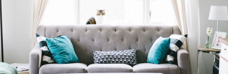 挑选沙发 select sofa