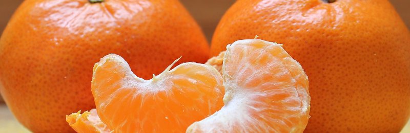 橘子 tangerine