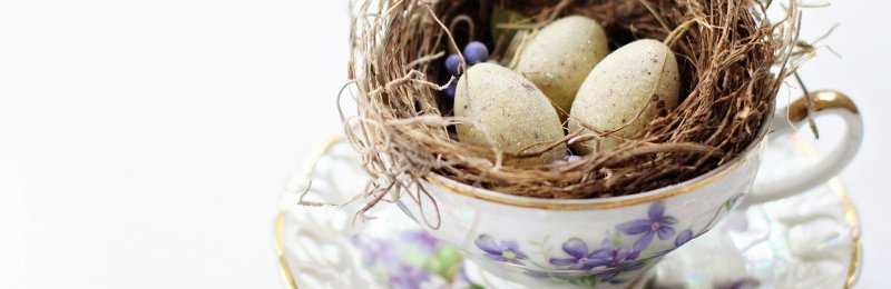 茶叶蛋 tea egg