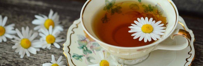 茶杯 tea