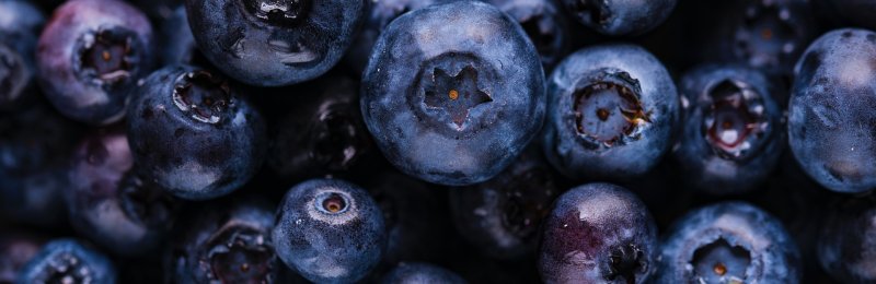 蓝莓 Blueberries