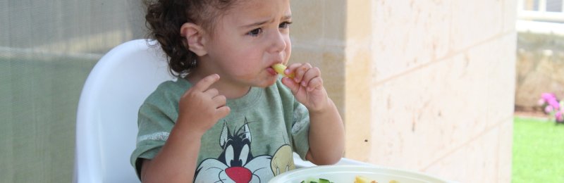 儿童饮食 Children
