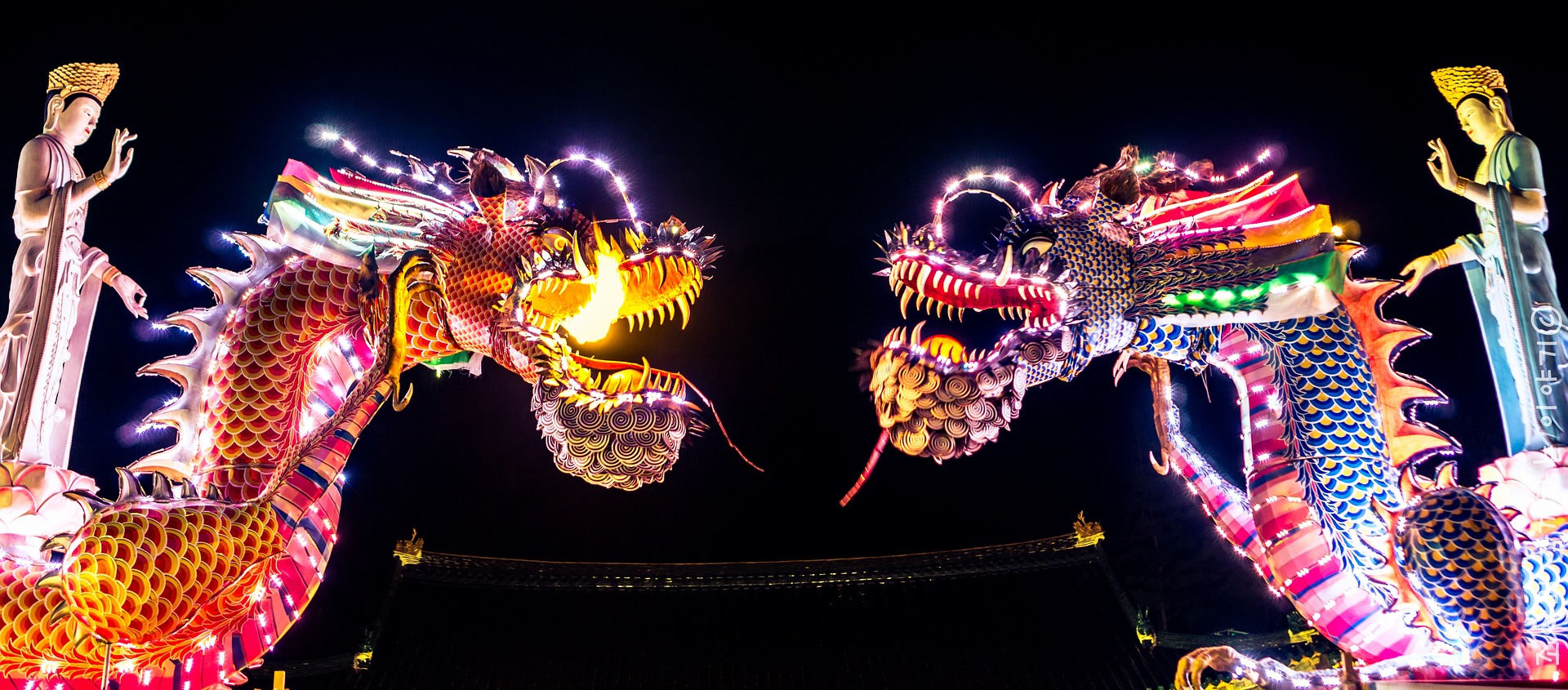 舞龙 Dragon Dance