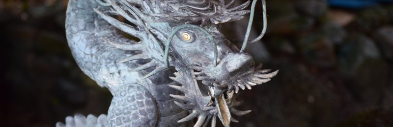 龙抬头 Dragon Head Up