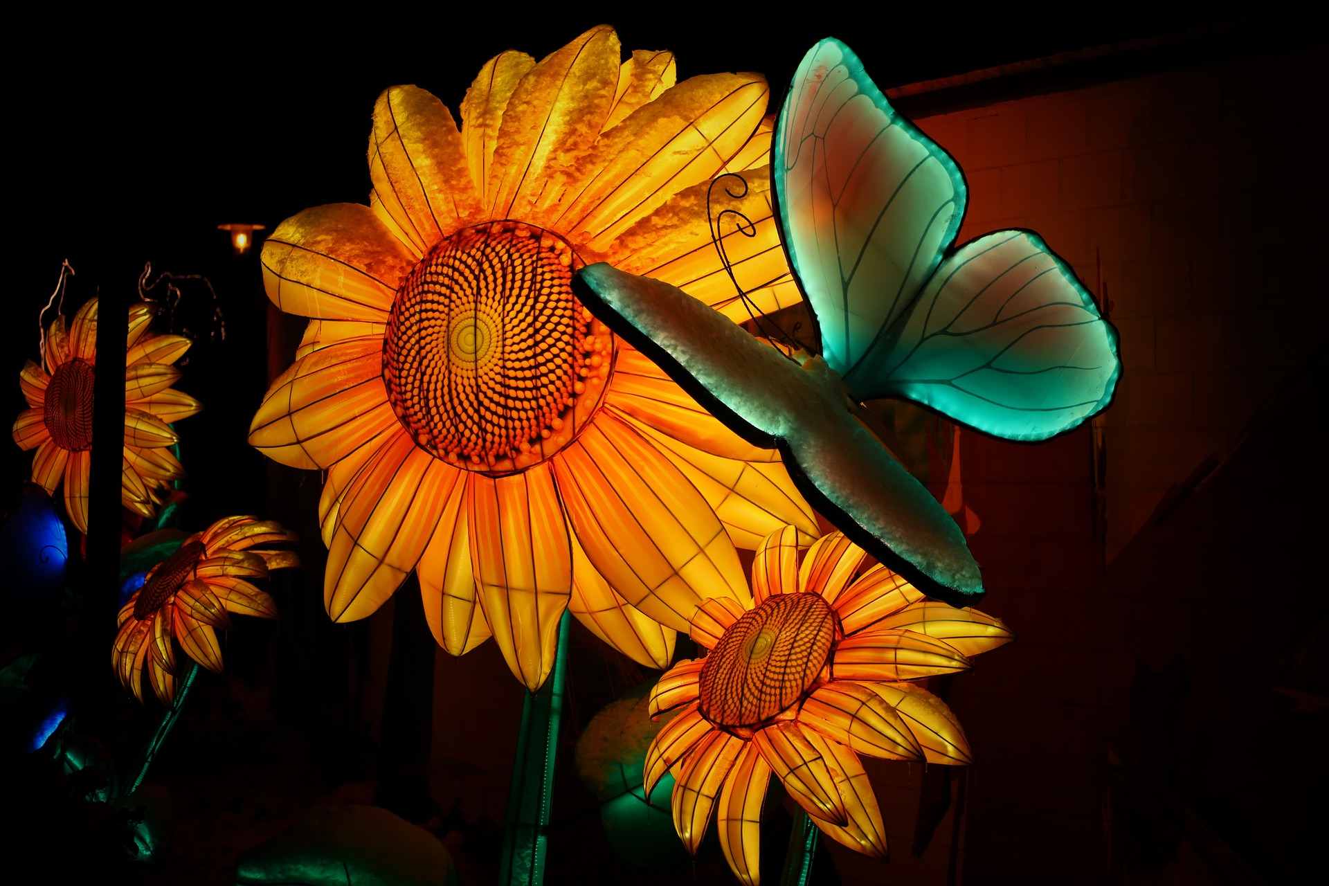 花灯 Flower lantern