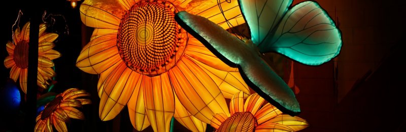花灯 Flower lantern