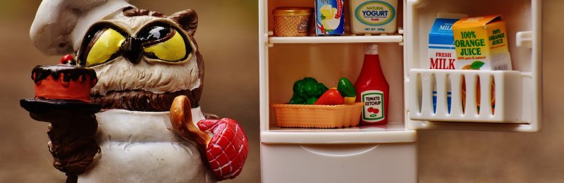 食物保鲜 Food preservation