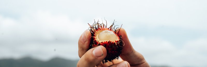 水果保鲜 Fruit preservation