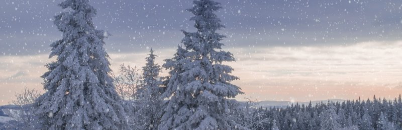 大寒节气 Greater Cold