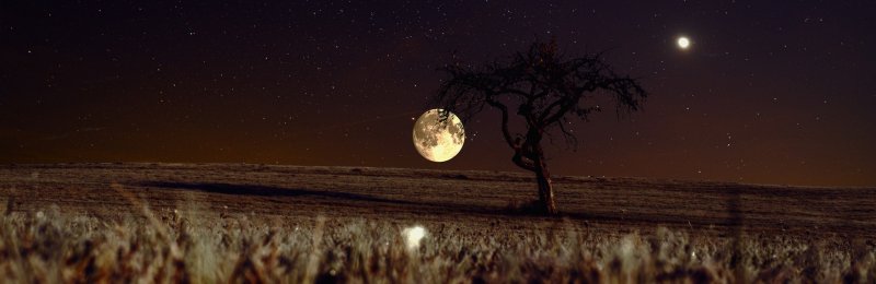 月亮太阳 Moon and Sun