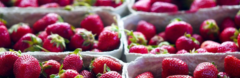 保存草莓 Save strawberries