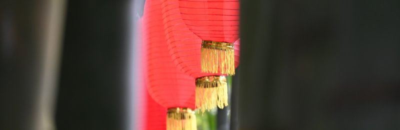 春节 Spring Festival