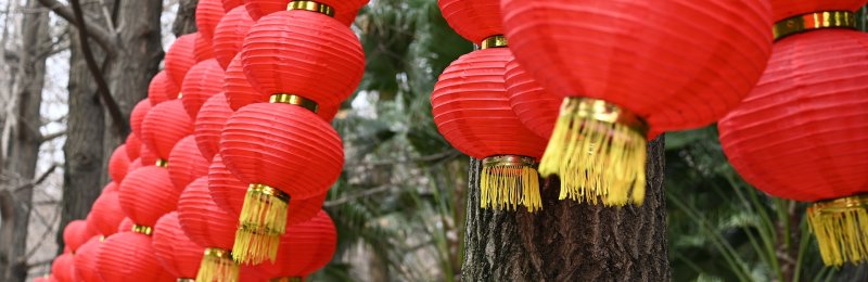 春节 Spring Festival
