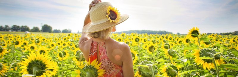 夏至 Summer Solstice