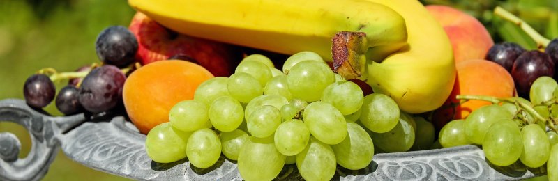 夏季水果 Summer fruits