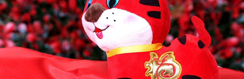 传统习俗 Traditional customs