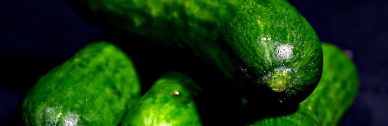 黄瓜 cucumber