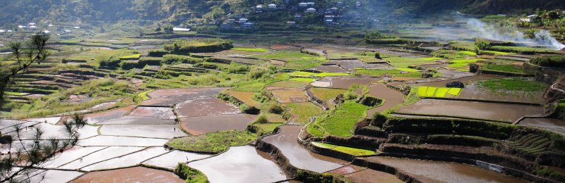 农耕文化 cultivation culture