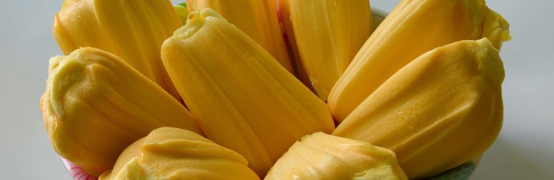 菠萝蜜 jackfruit