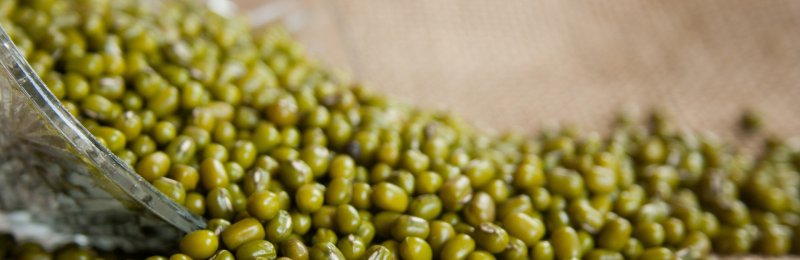 绿豆汤 mung bean soup