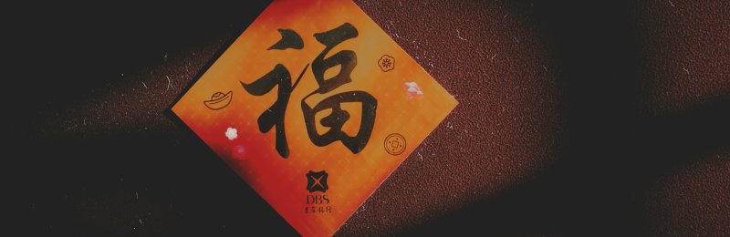 春节福字 spring festival conpult