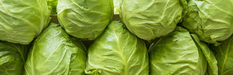 储存蔬菜 store vegetables