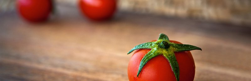 西红柿 tomato